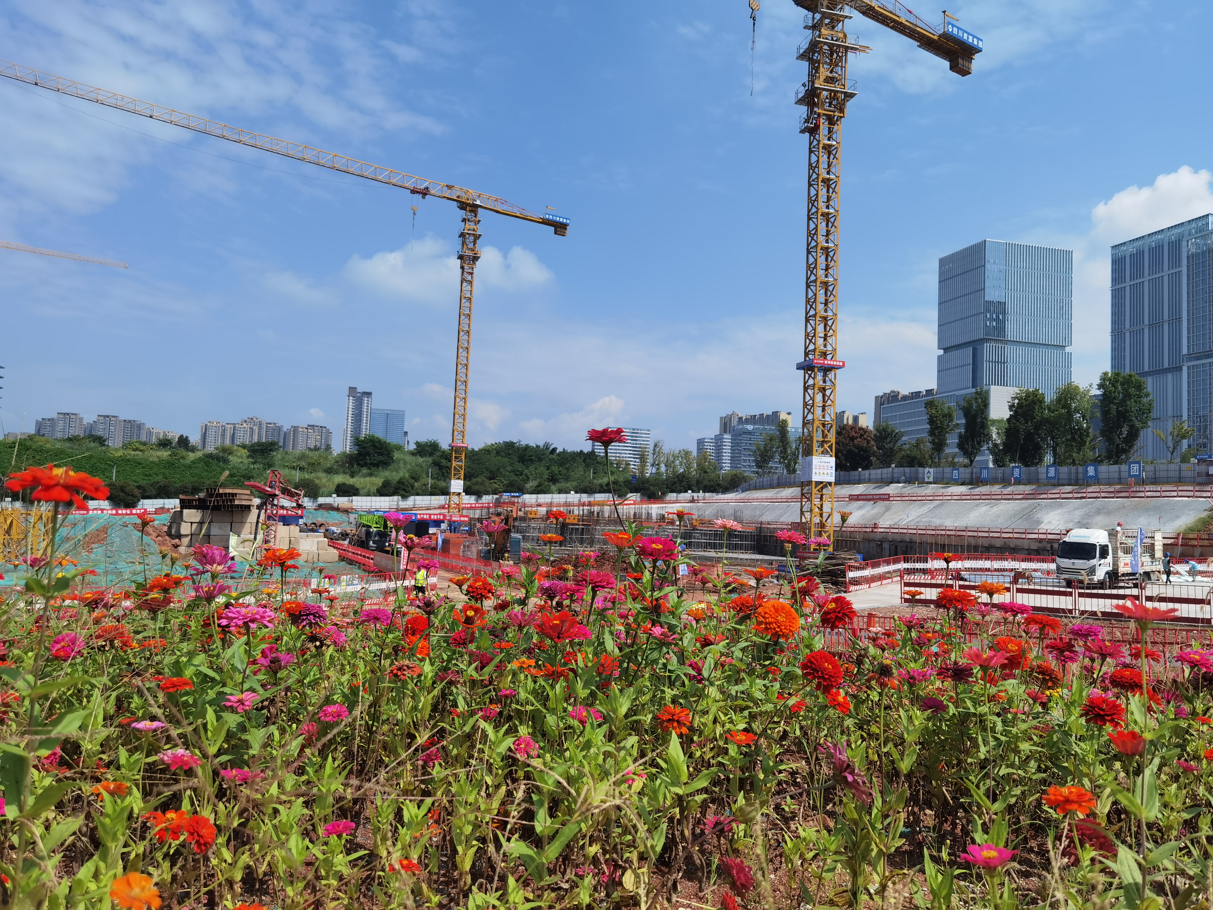 ÕÕÆ¬ (2) ÕÕÆ¬ (2)