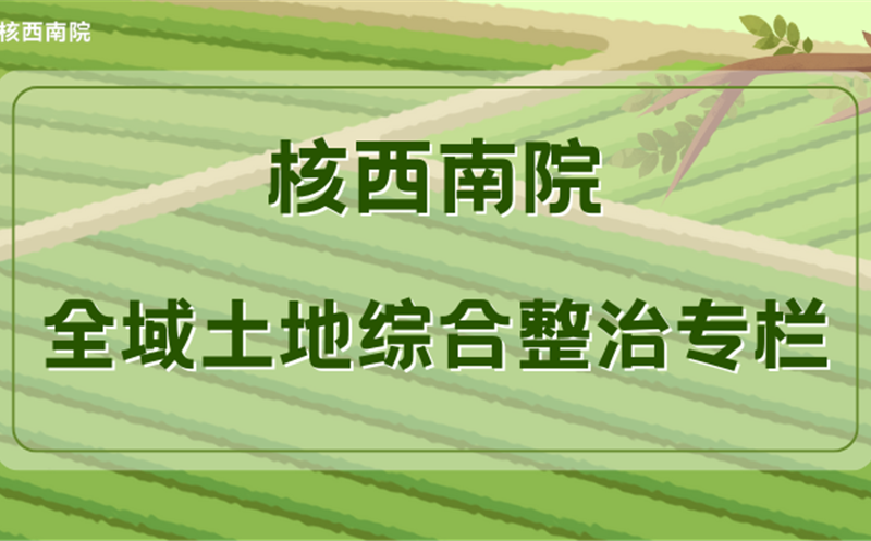 ������������ƻ��ߡ��������ںϡ��߻�ʦ�����������ȷ���������֮·
