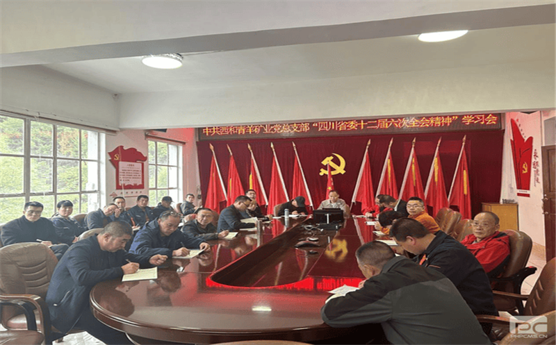 ��˾�쵼�������ҵ�����Ĵ�ʡίʮ��������ȫ�ᾫ��